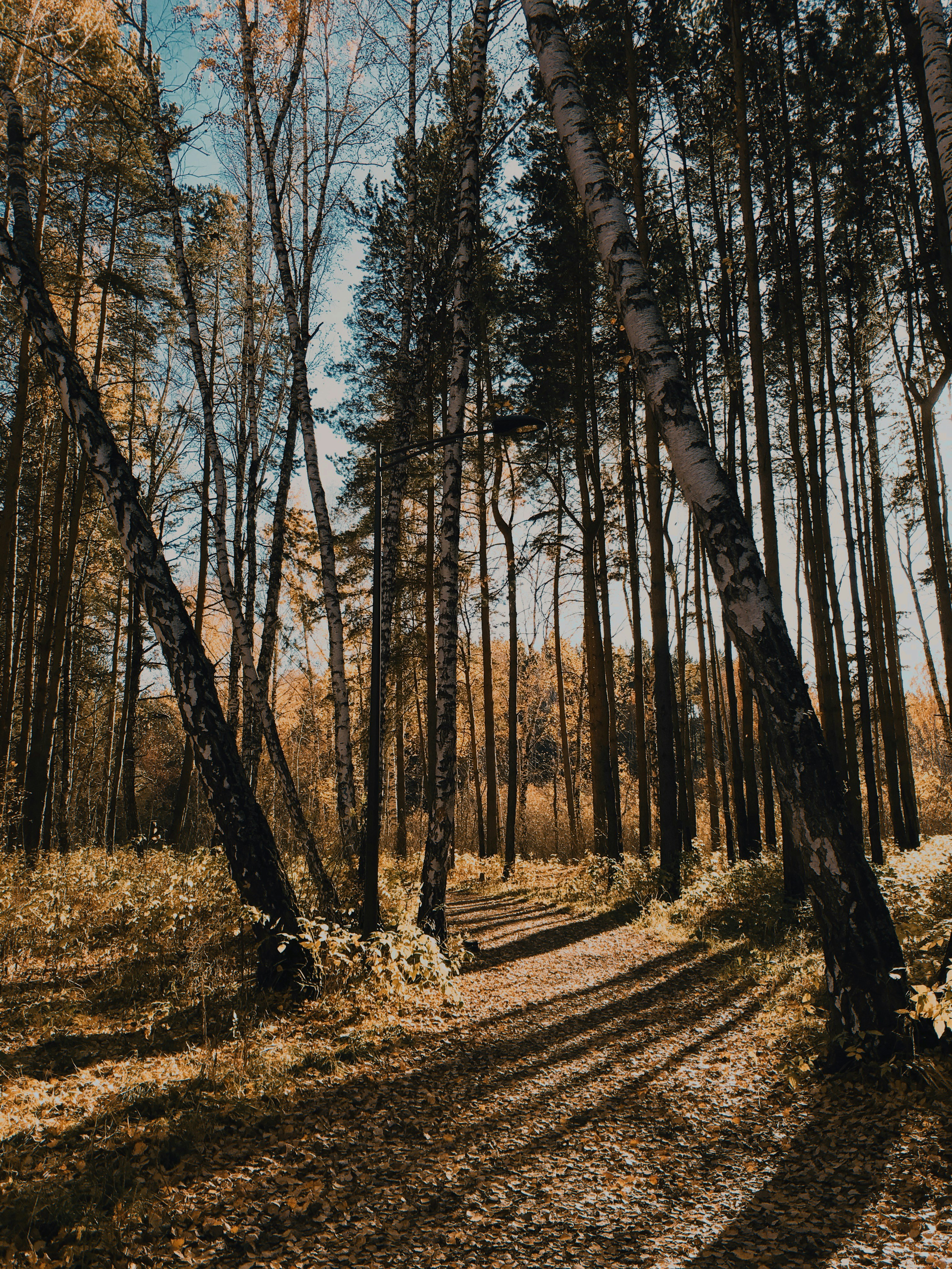 Photo by juliettttt___