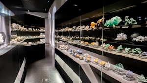 A well-lit display of various minerals and crystals is arranged on multiple shelves behind glass in what appears to be a museum or gallery setting. Each mineral is labeled, and the lighting highlights the vibrant colors and intricate formations.