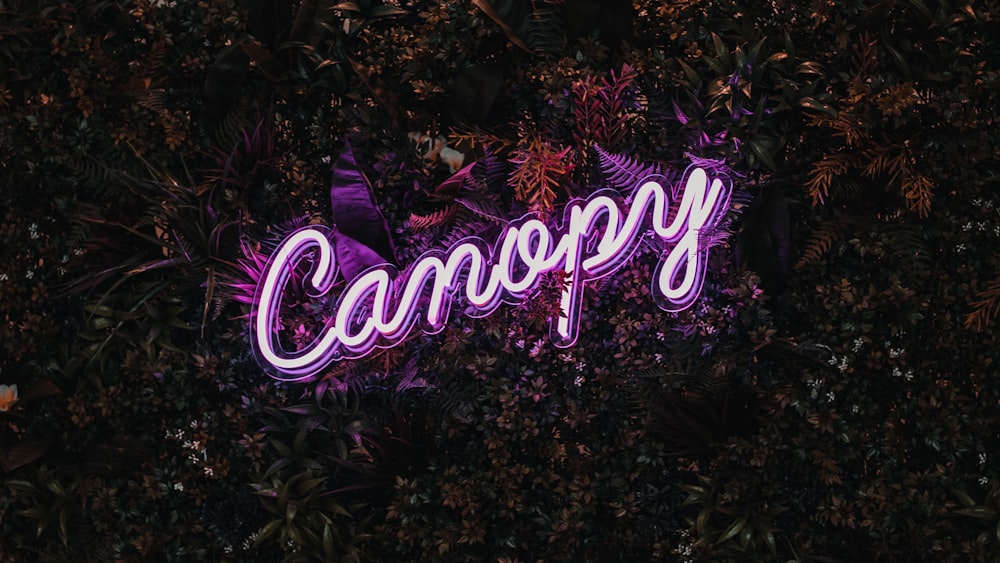 purple canopy neon sign