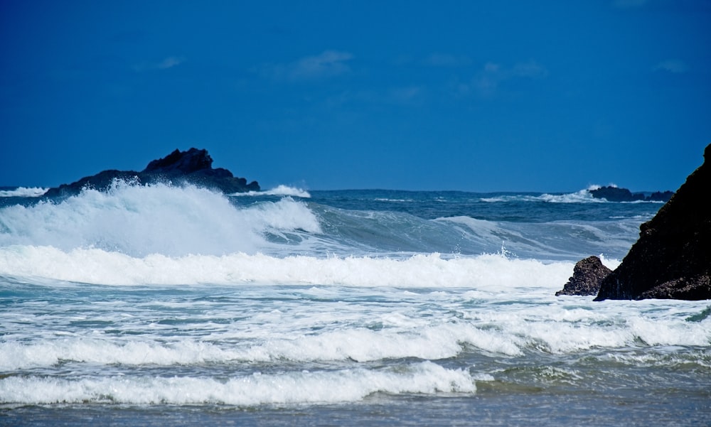 white and black sea waves