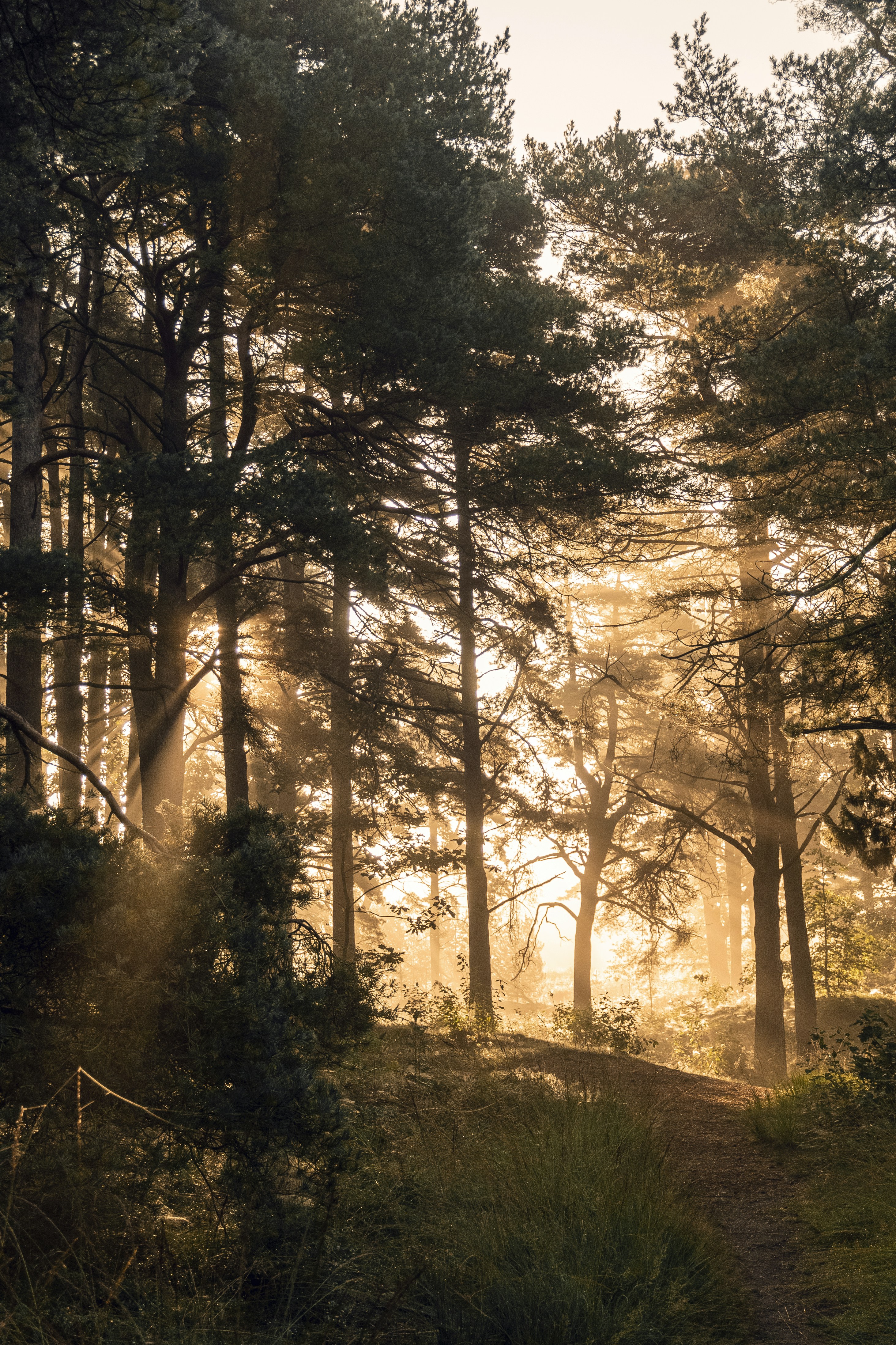 Photo by toft_pilgaard