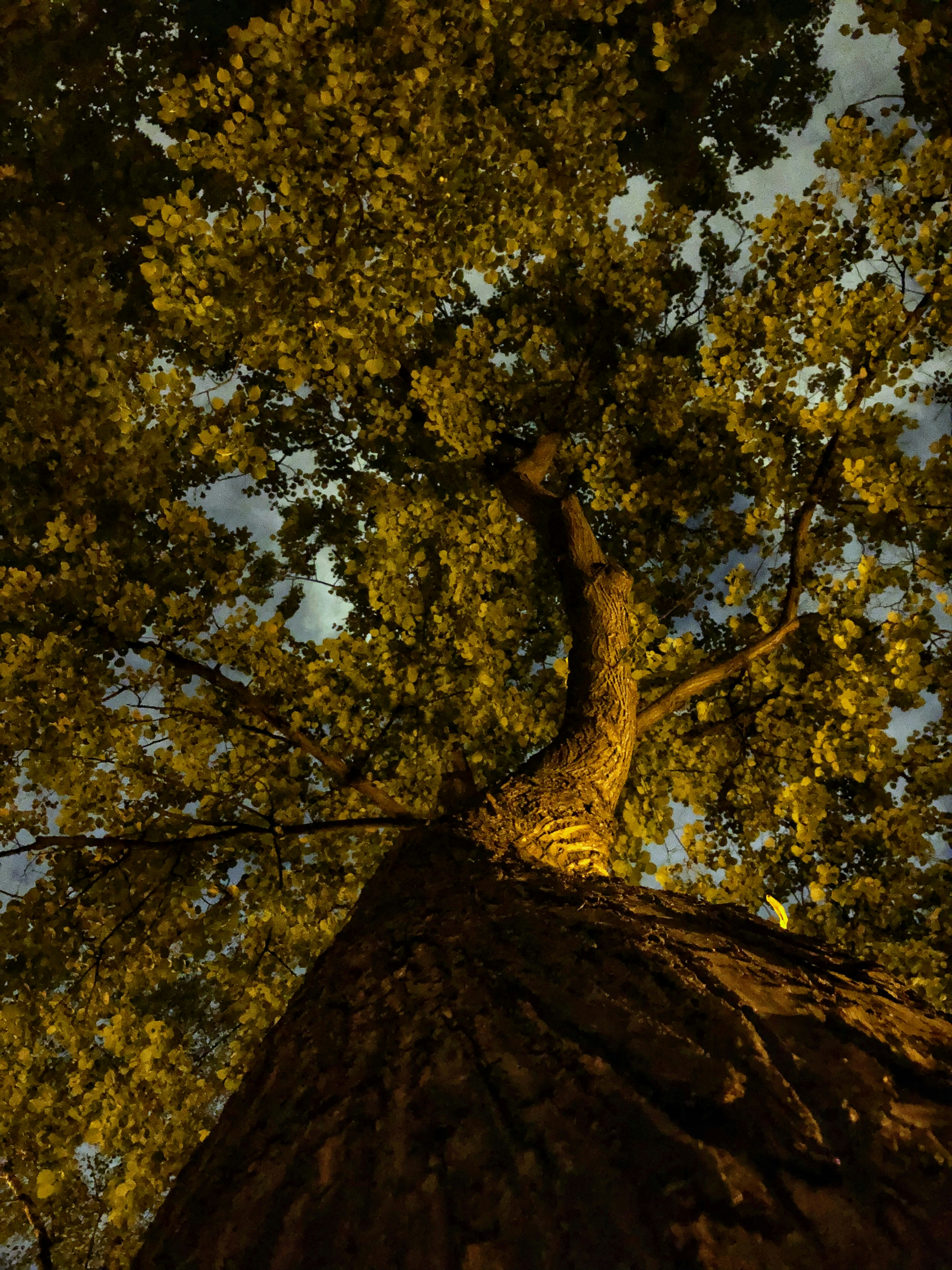 Photo by yuli_superson