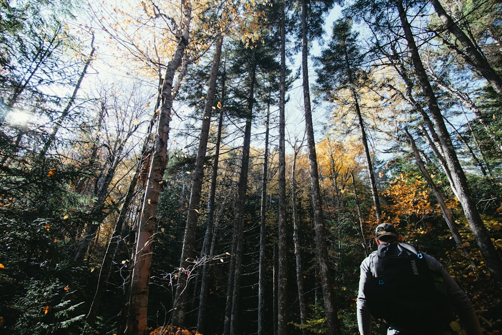man walking in forest during daytime