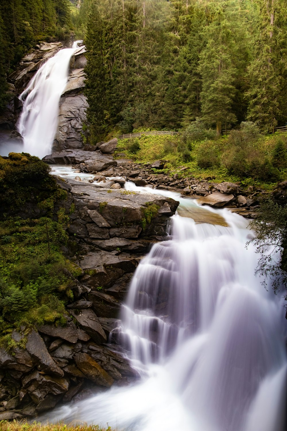 time-lapse photography of river surrounded by trees