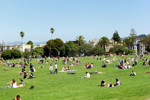 A large grassy park area filled with numerous people enjoying outdoor activities. Many are sitting on blankets or directly on the grass, some engaged in casual conversations, and others relaxing alone. Tall palm trees and other greenery are visible in the background, with residential buildings lining the perimeter of the park. The scene suggests a sunny day with clear blue skies.