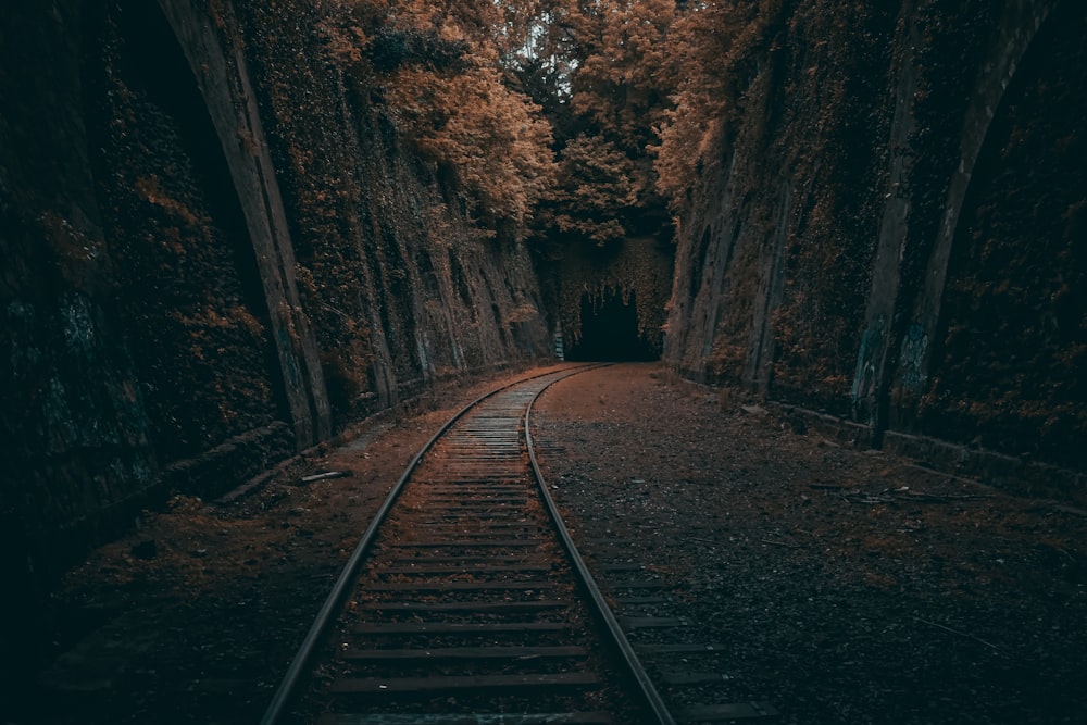 Tren ferroviario durante el día