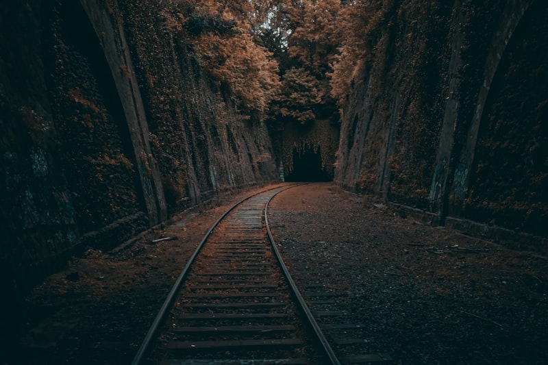 A cute kangaroo illustration