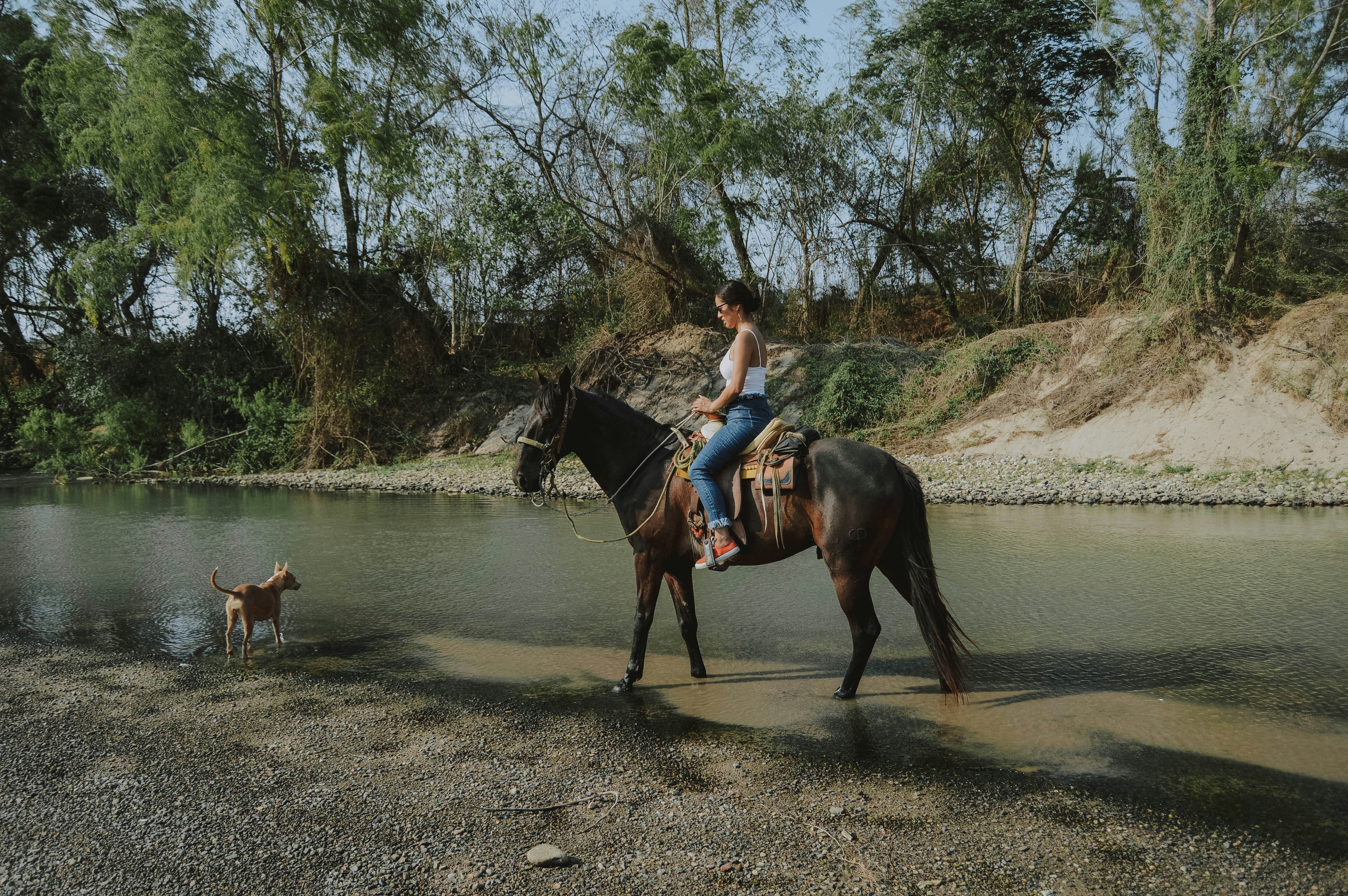 woman riding black horse