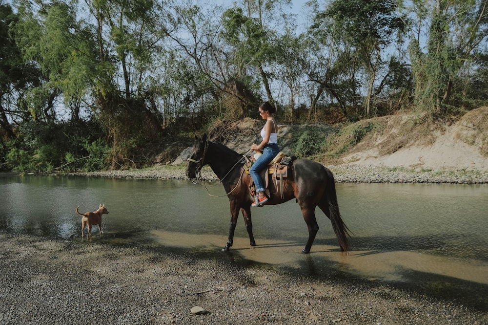 woman riding black horse