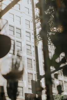 A serene urban scene captured in soft natural light, highlighting subtle motion.