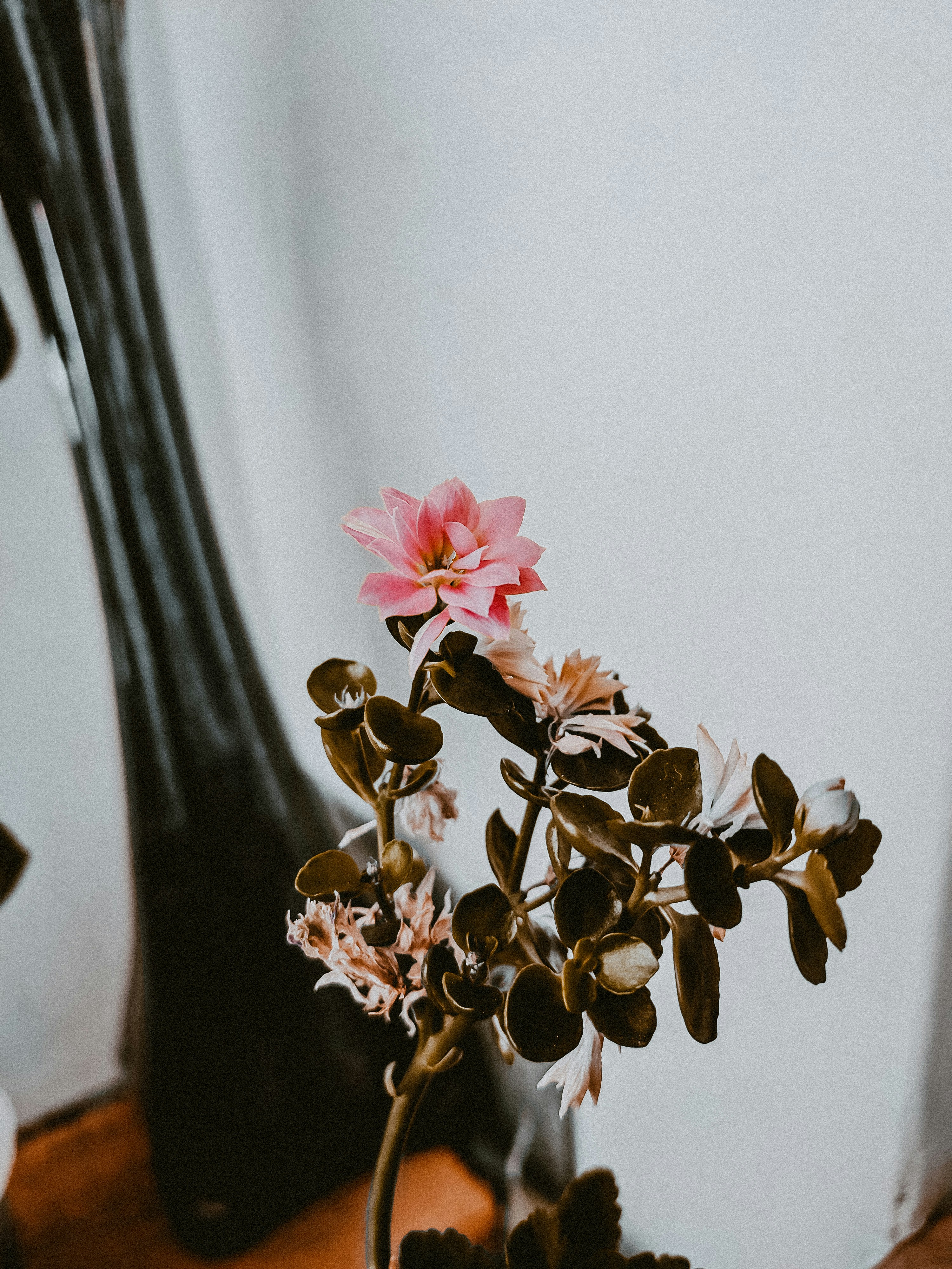 Photo by anaidnaiots