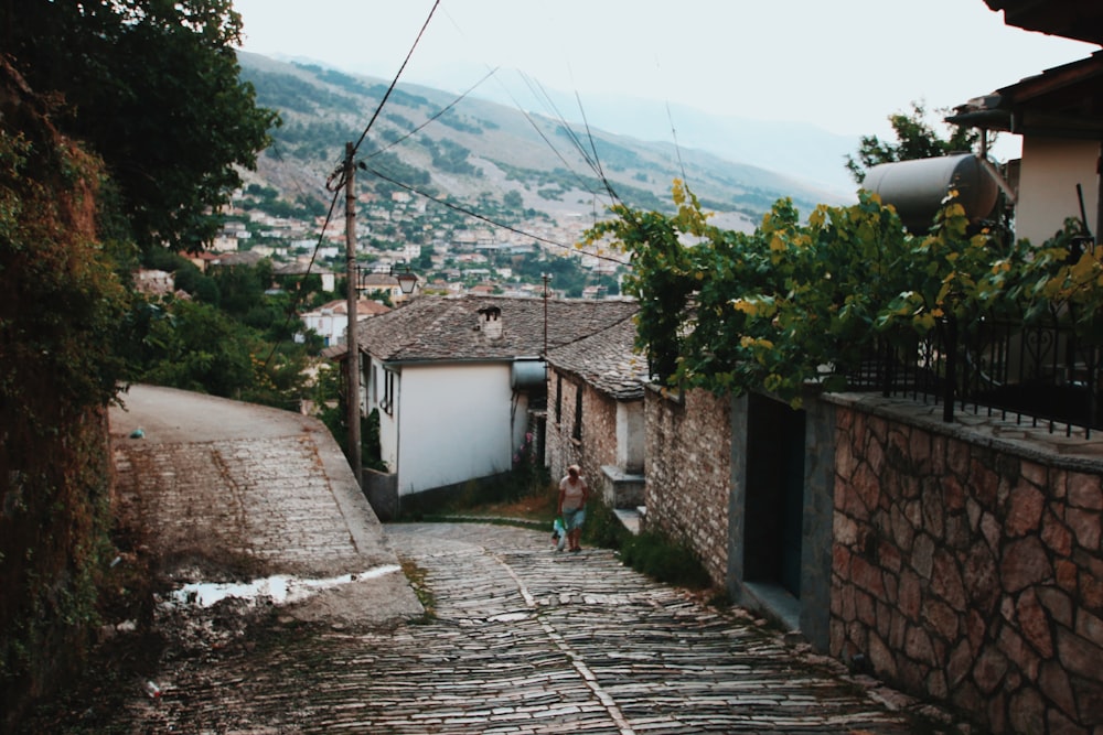 person walking beside wall, buildings, and trees