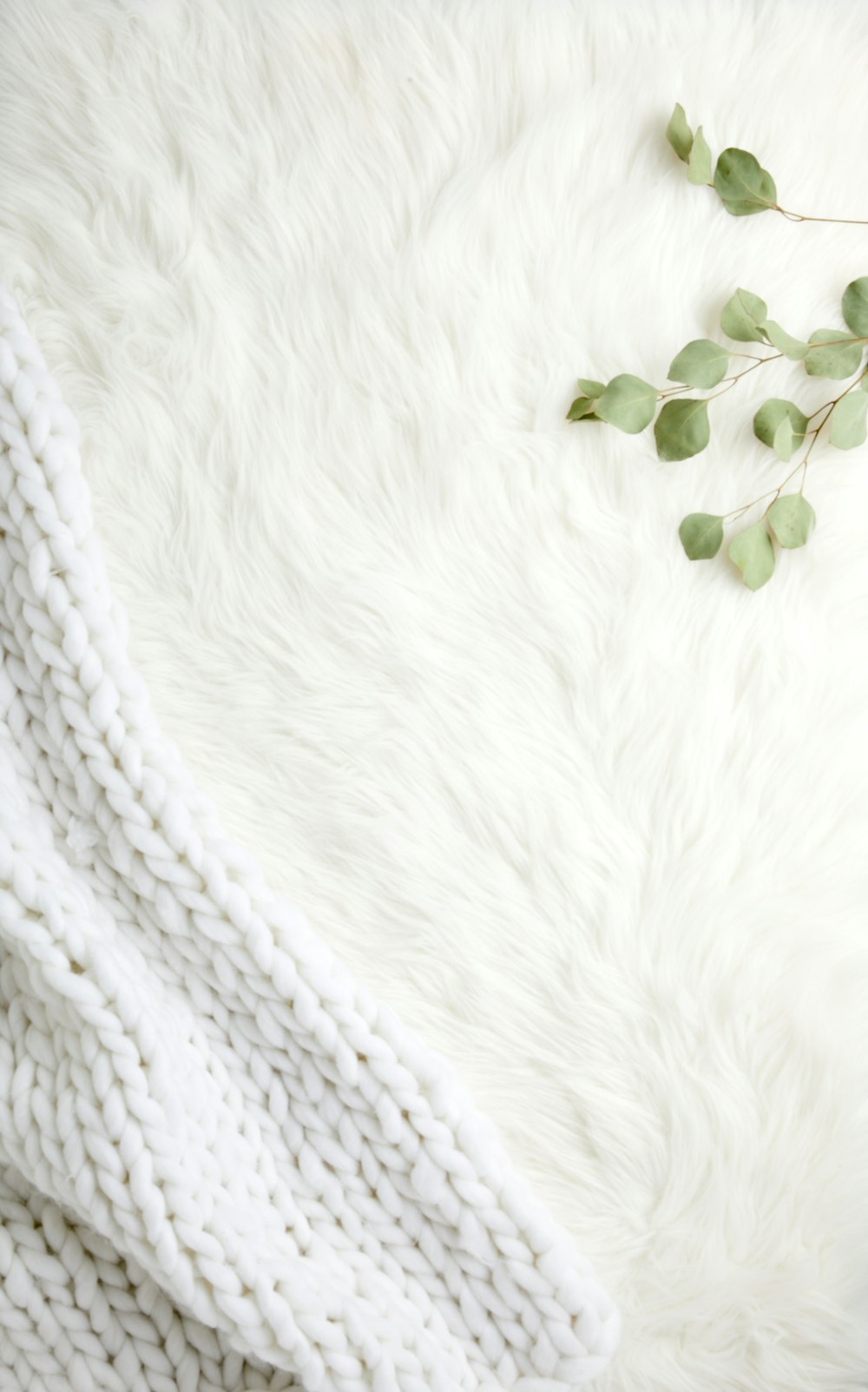 Grüne Blätter auf weißem Textil