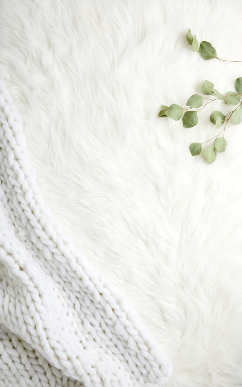 Jersey Knit Fitted Sheet