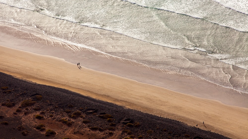 two people walking on a beach next to the ocean