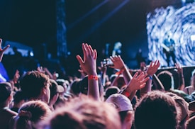 A large crowd of people with their hands raised, possibly enjoying a live music concert. Bright stage lights illuminate the scene, and the focus is on the enthusiastic audience. Some concert-goers wear wristbands, suggesting a festival or a ticketed event.