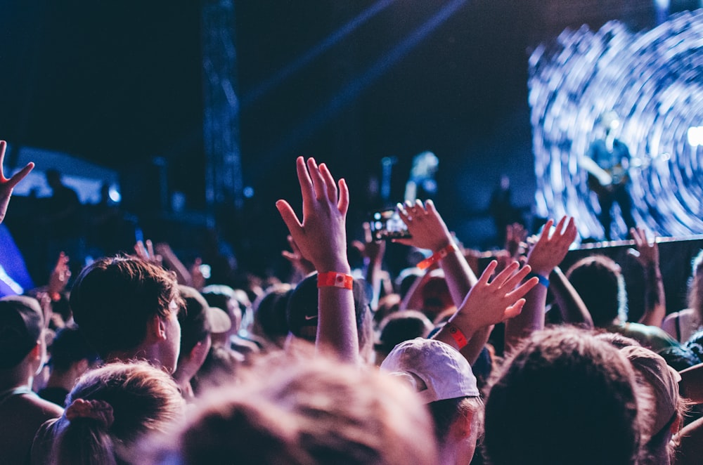 people on the concert photograph