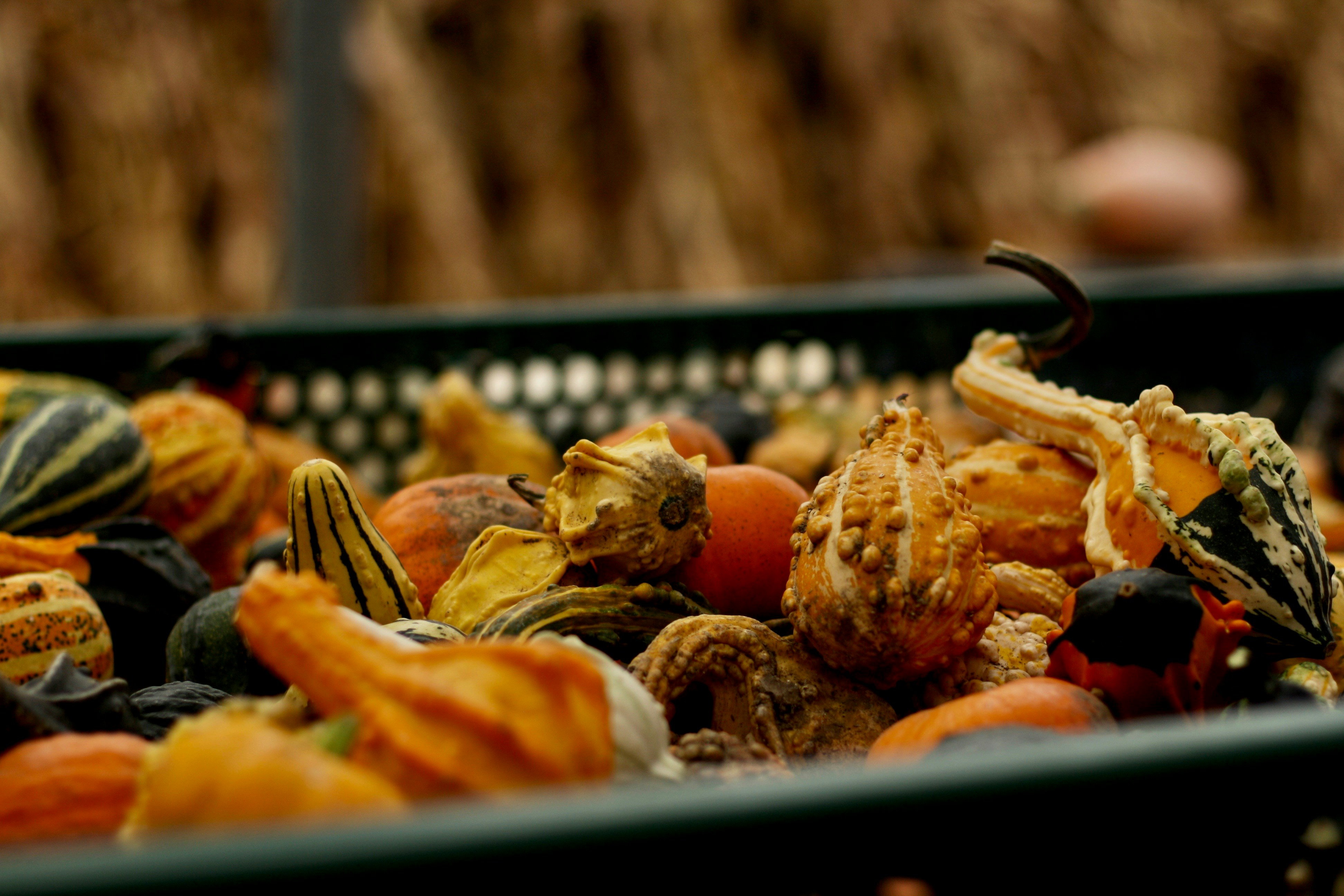 Photo by imagesbykayla