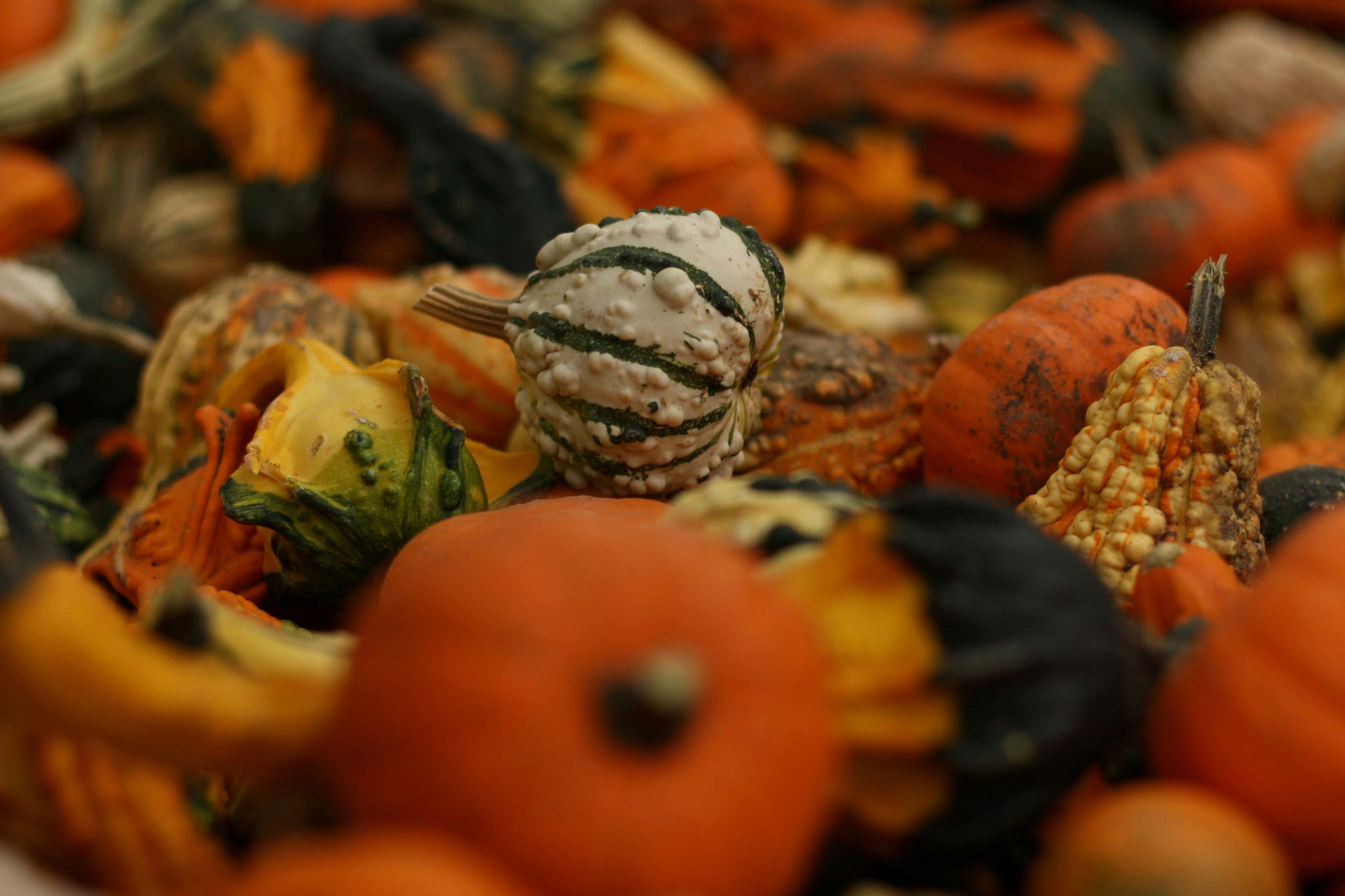 Photo by imagesbykayla