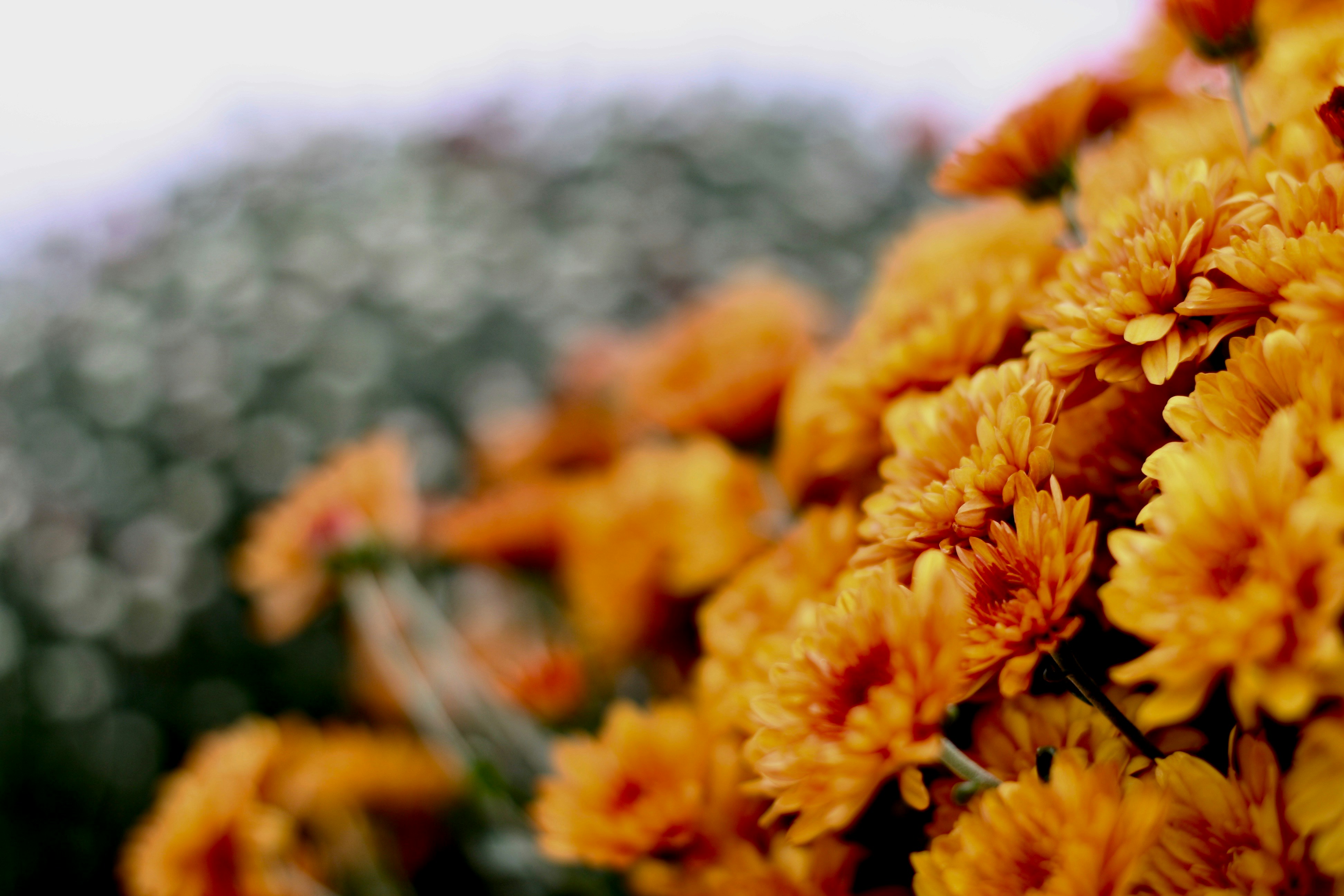 Photo by imagesbykayla