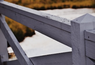 A close-up of a freshly painted fence in a residential backyard.