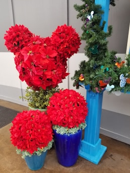 A display of bright red poinsettias shaped to resemble a recognizable silhouette arranged in colorful pots. Next to them is a decorated blue post adorned with greenery and ornaments.