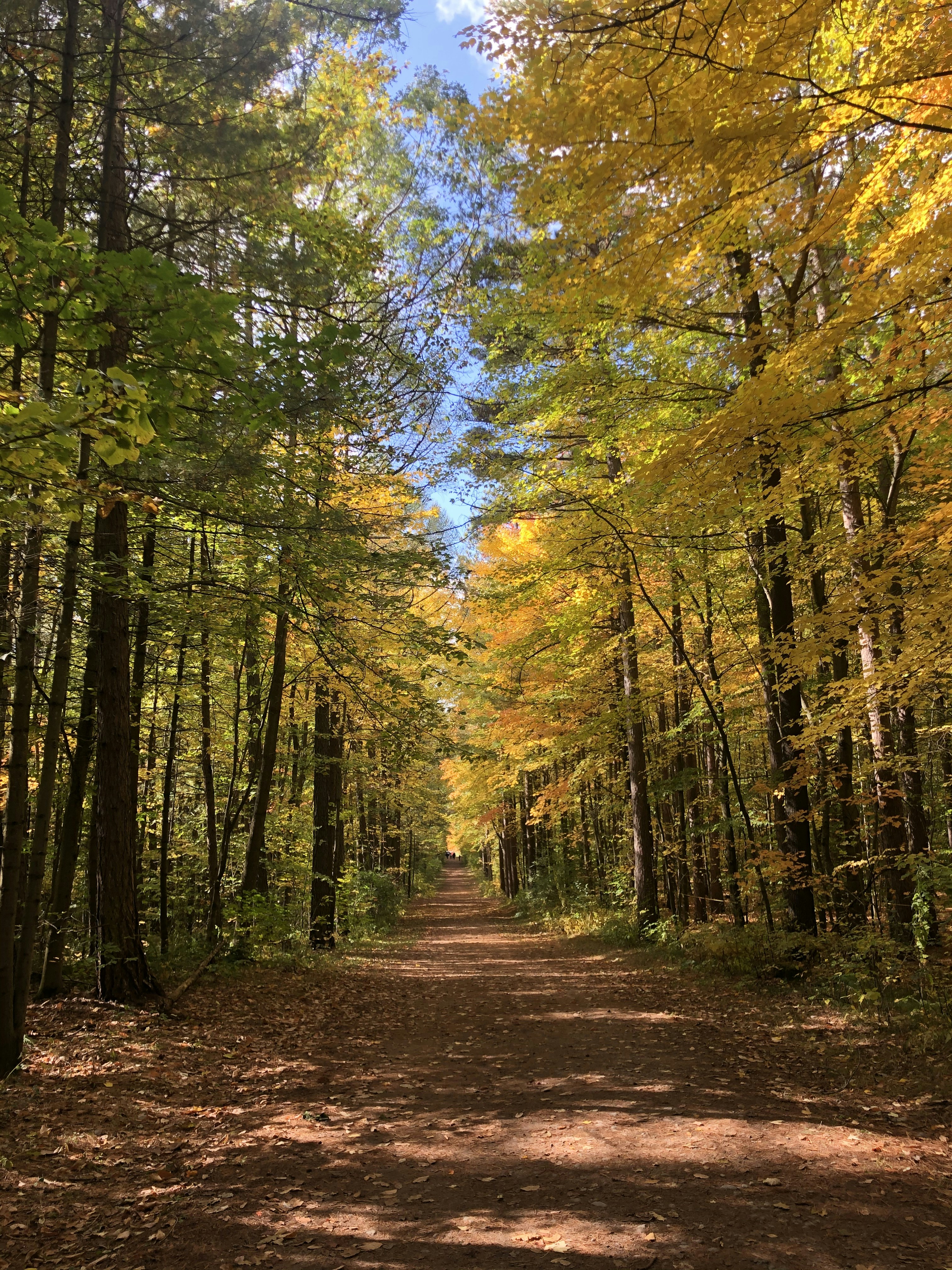 Photo by sandeephotta