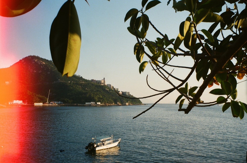 boat on sea