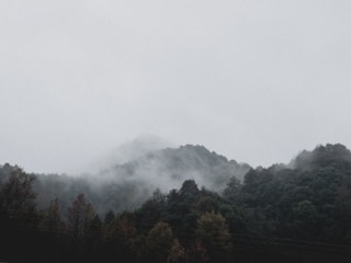 A mysterious hidden place surrounded by dense forest and mist.