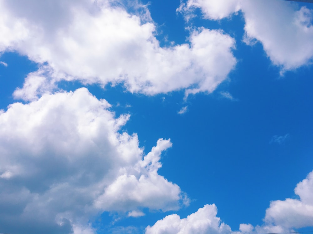 white clouds and blue sky