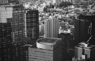 grayscale photography of buildings