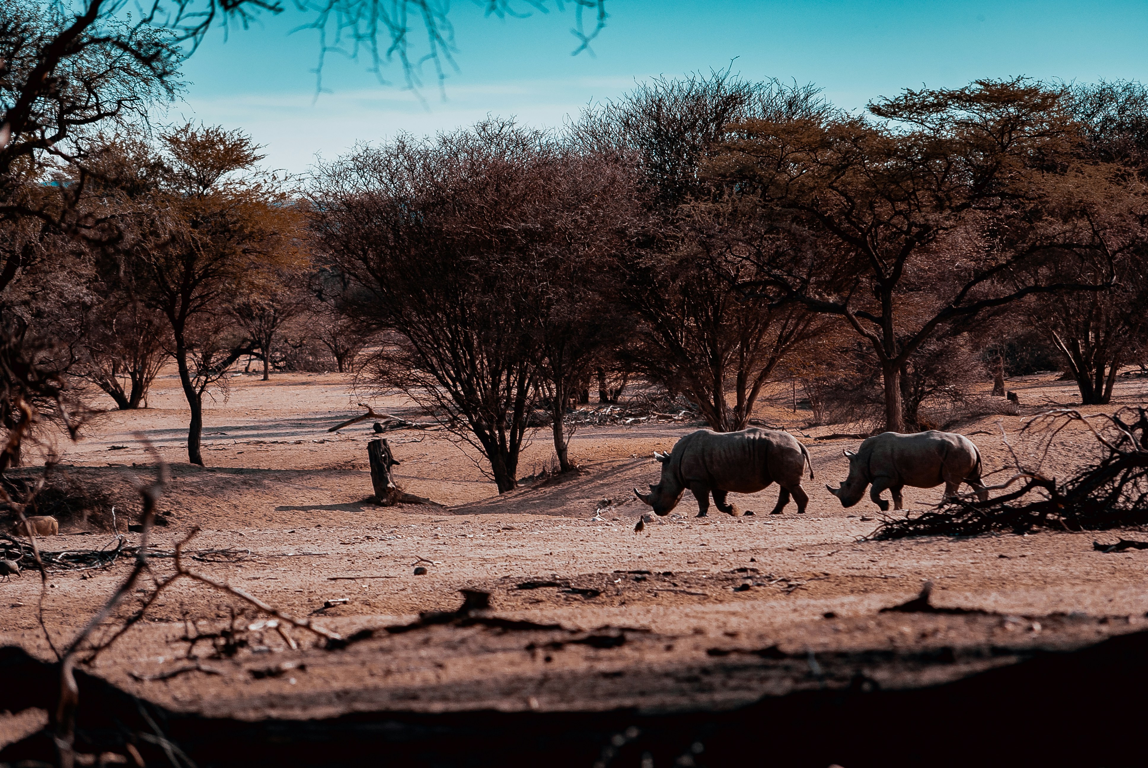 Photo by peinge_nakale995