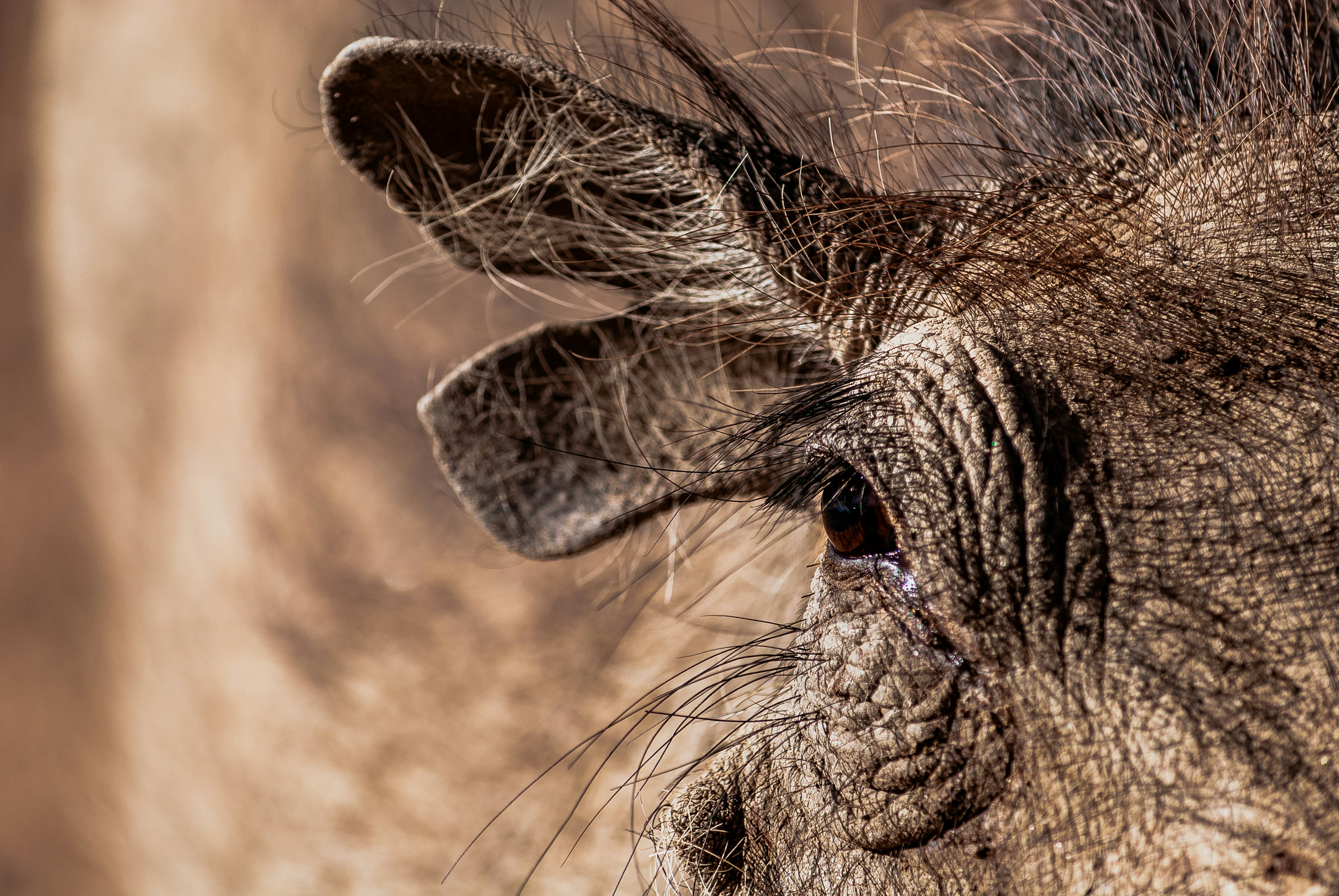 Photo by peinge_nakale995