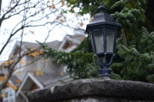 Elegant outdoor lantern mounted on a rustic iron post surrounded by greenery.