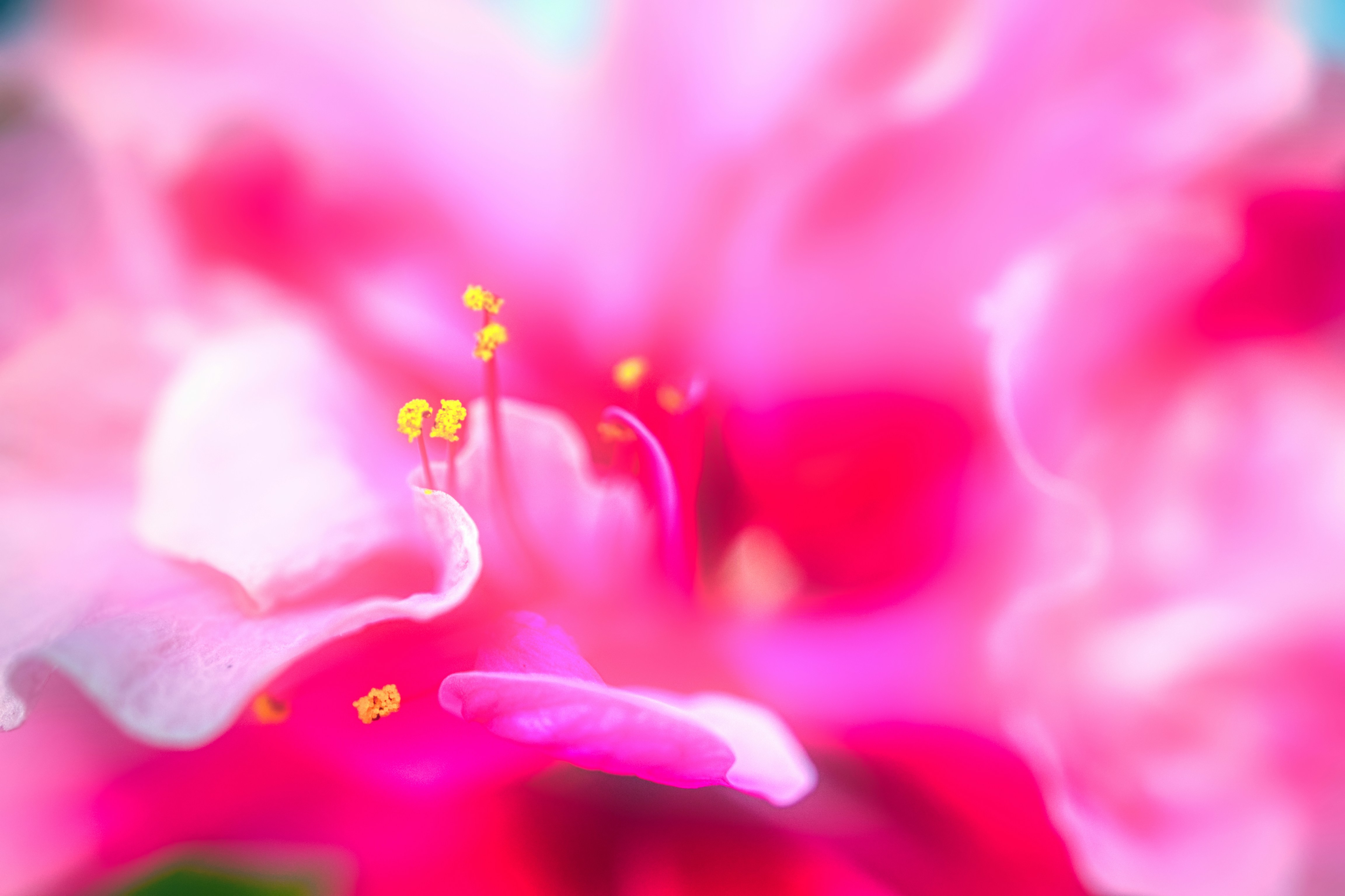 Photo by thomaskinto