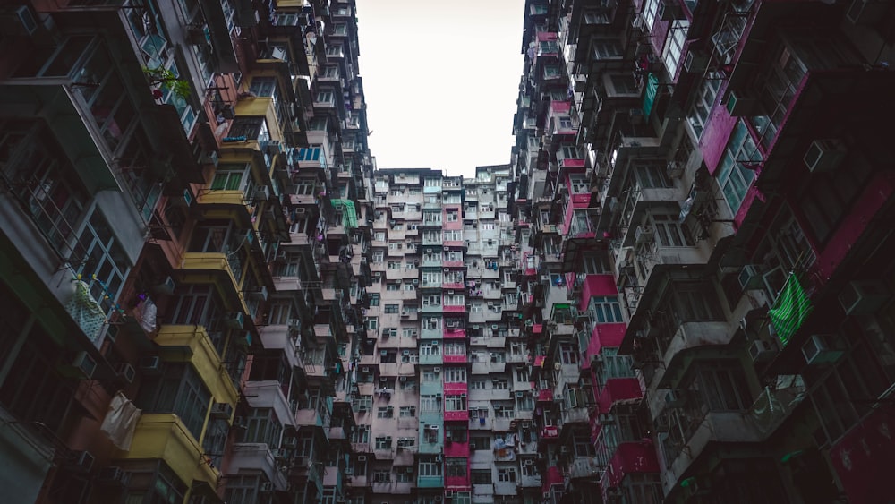 low-angle photo of multi-colored building