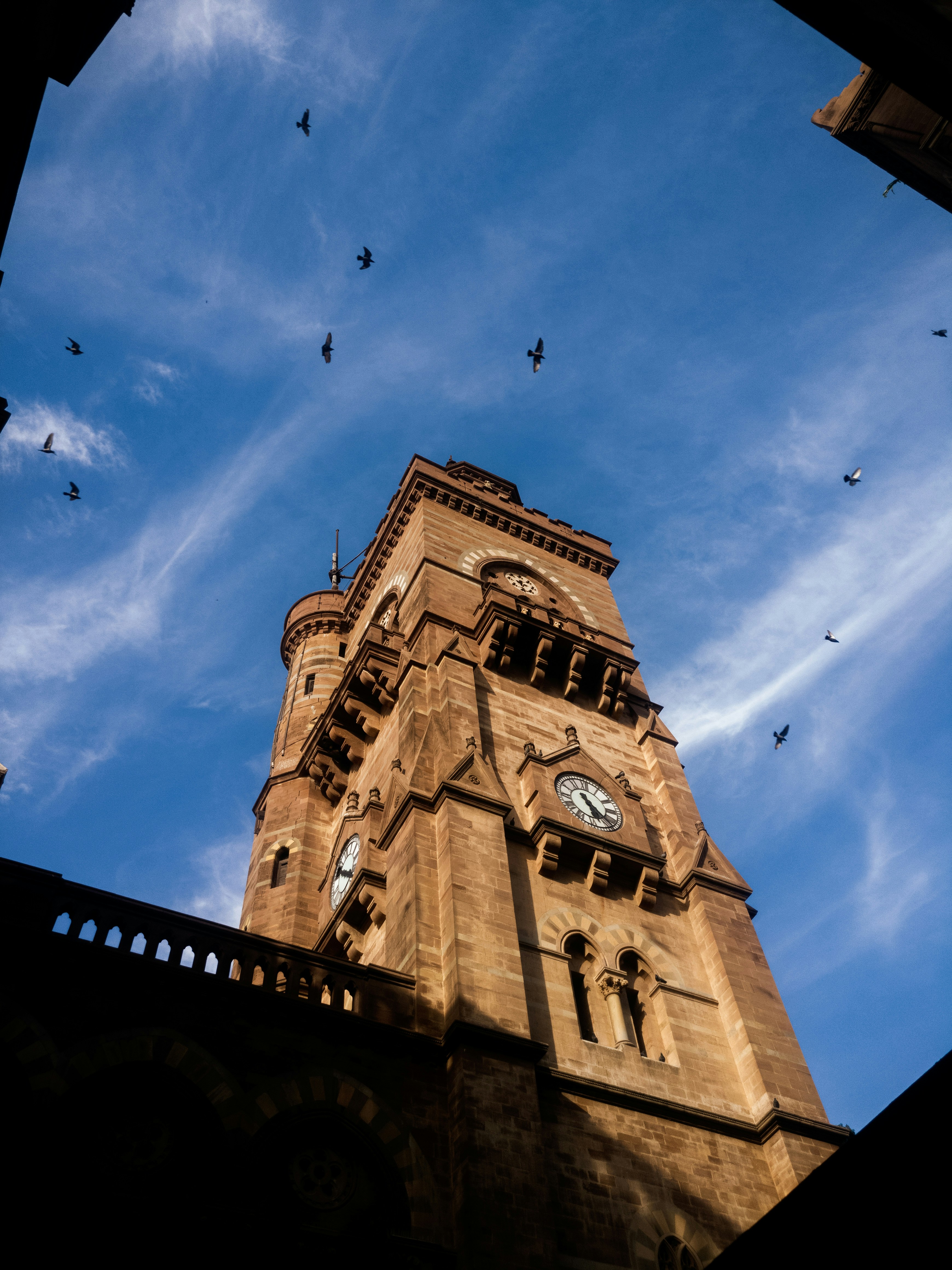 Photo by kishan__upadhyay