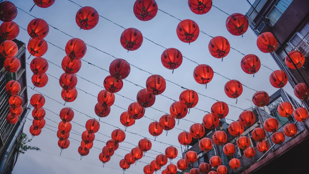 Foto Adornos colgantes de papel chino rojo – Imagen Taiwán gratis en  Unsplash