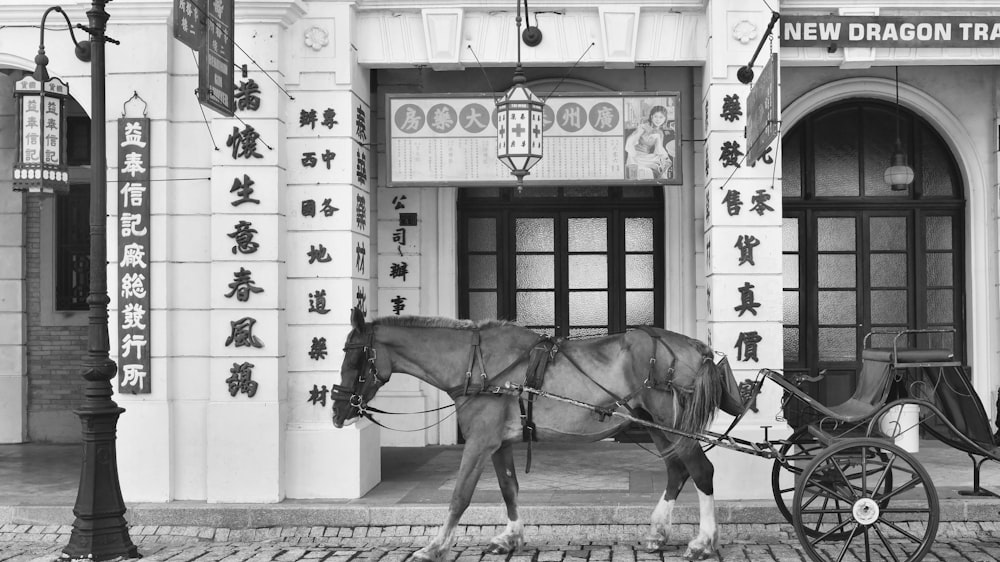 馬車と馬のグレースケール写真