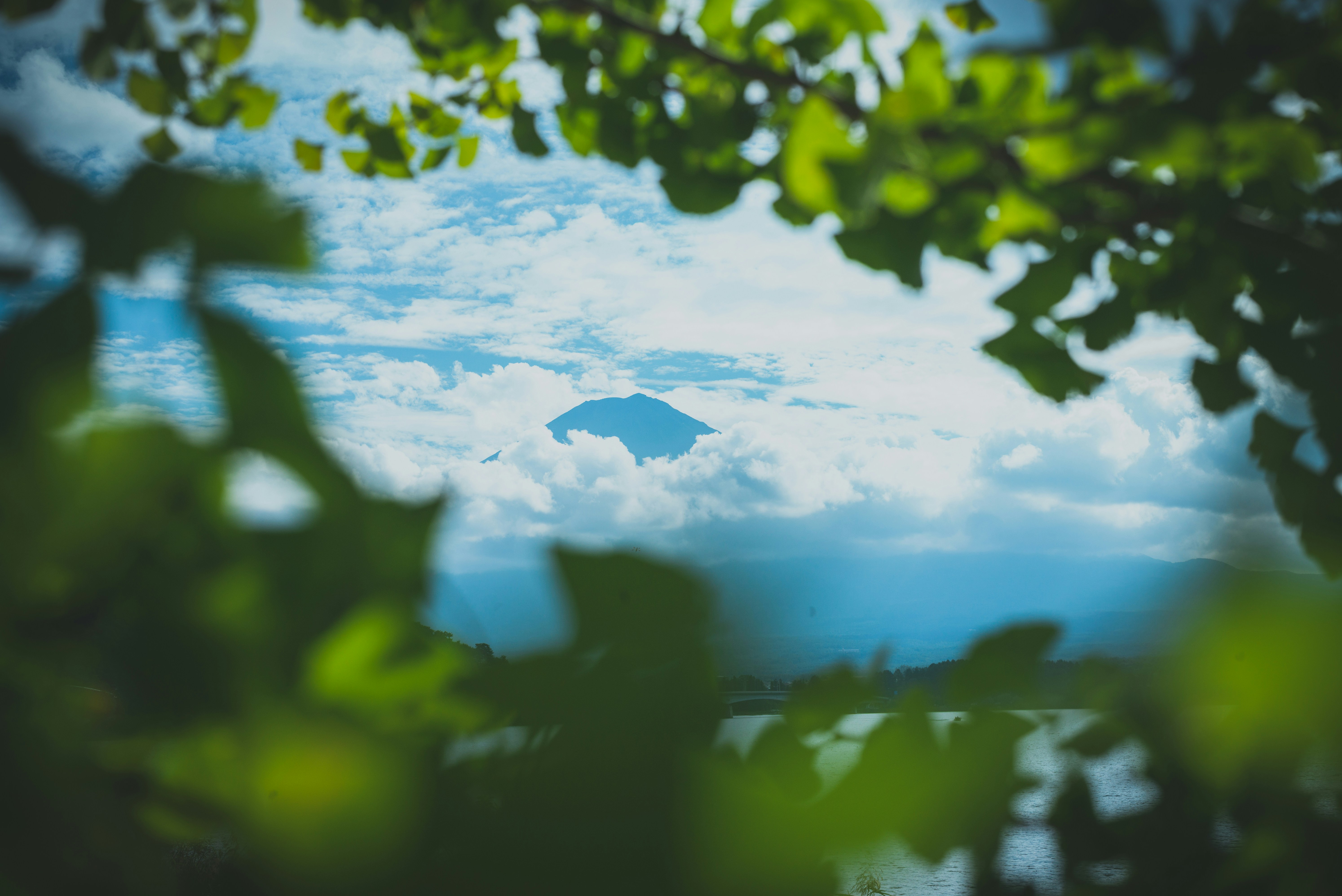 Photo by guoshiwushuang