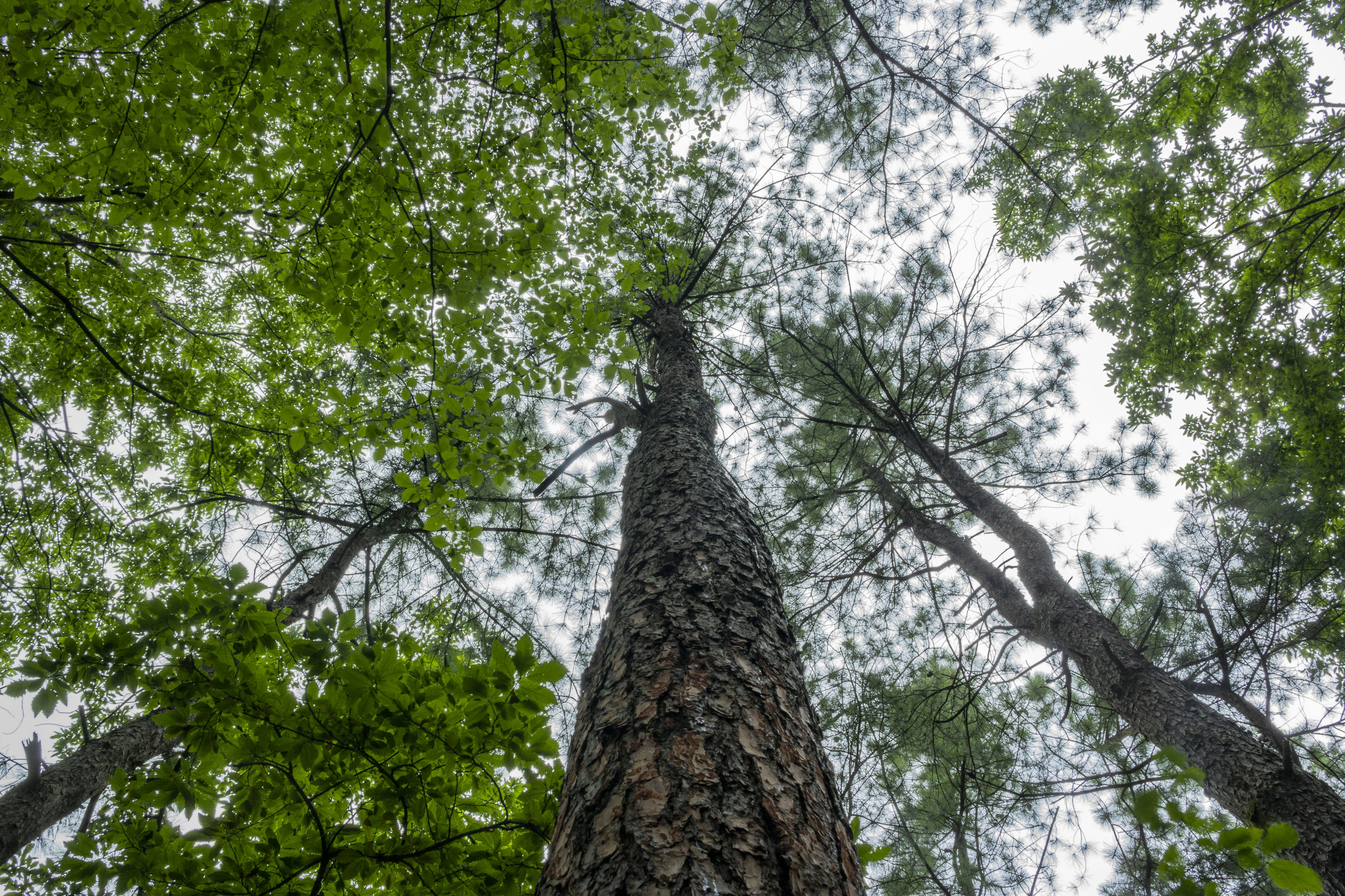 Photo by arsalanarian