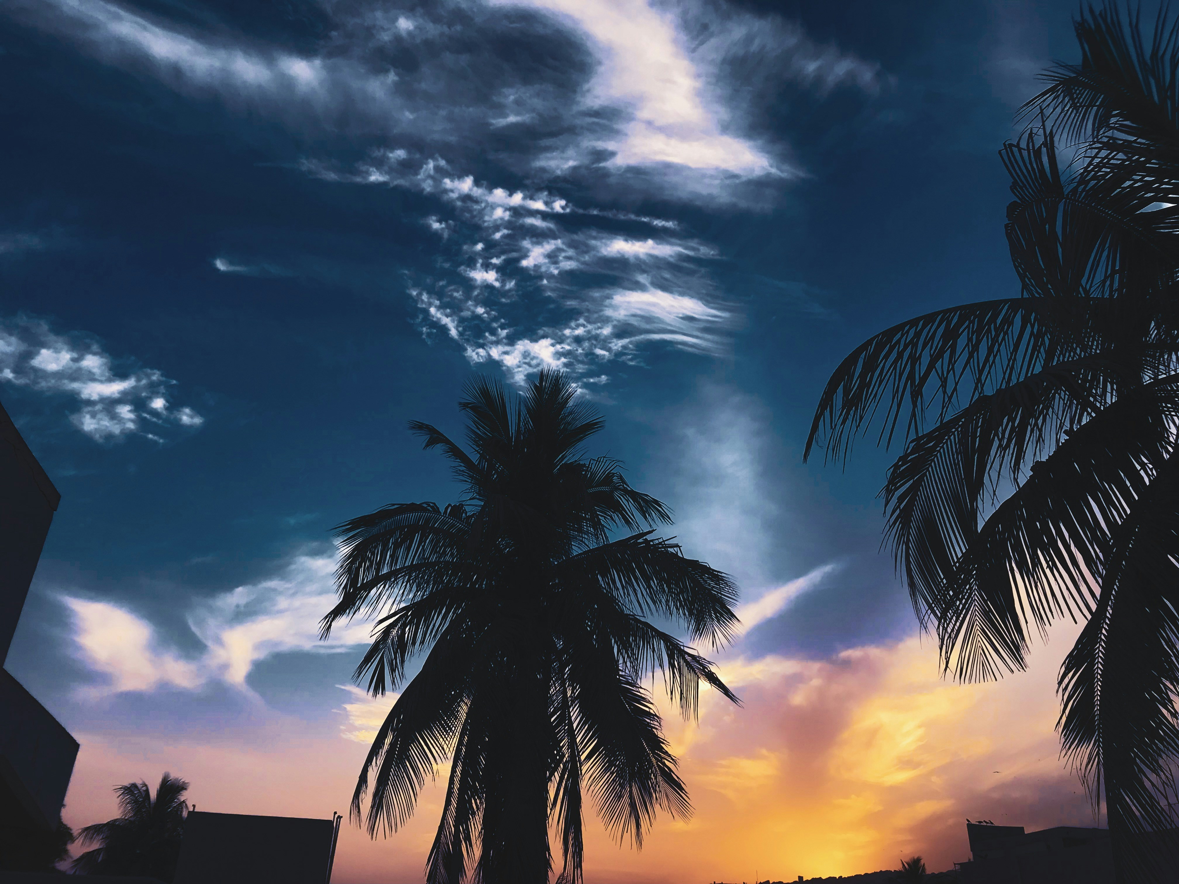 Photo by osama_afzaal01