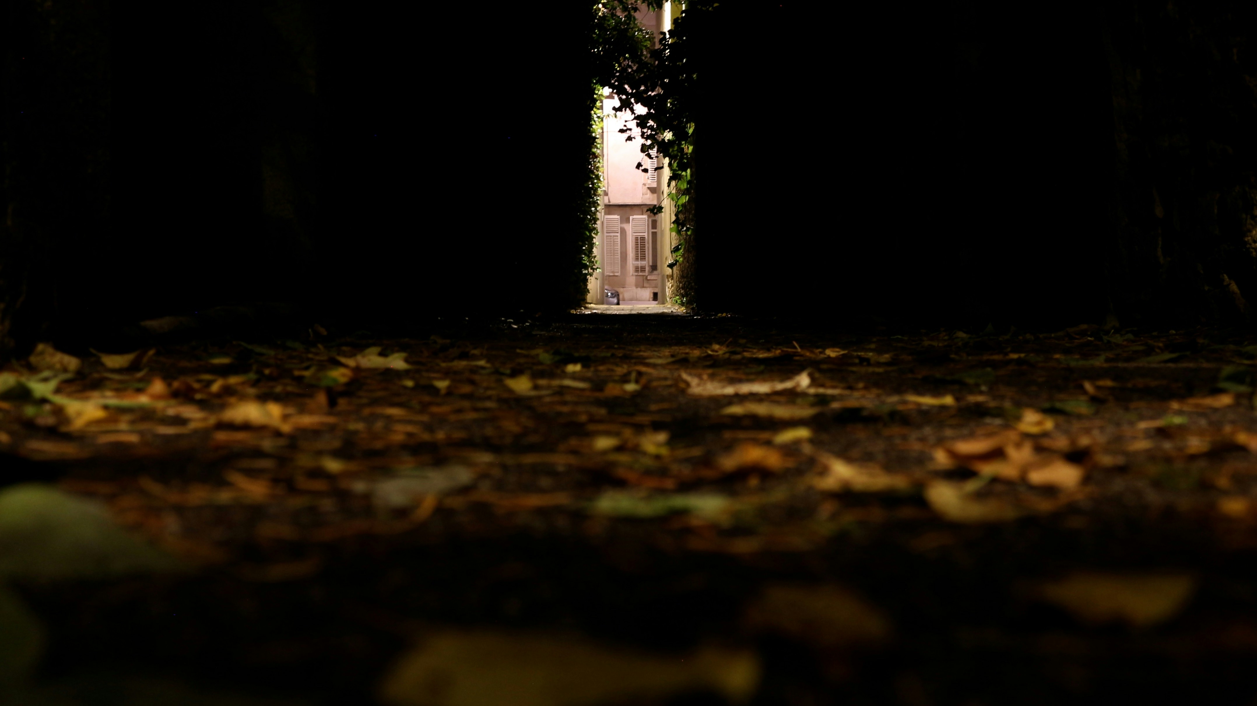 Photo by philographism