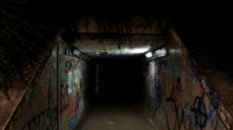 A dimly lit tunnel entrance with faint graffiti, hinting at stories beneath the city streets.