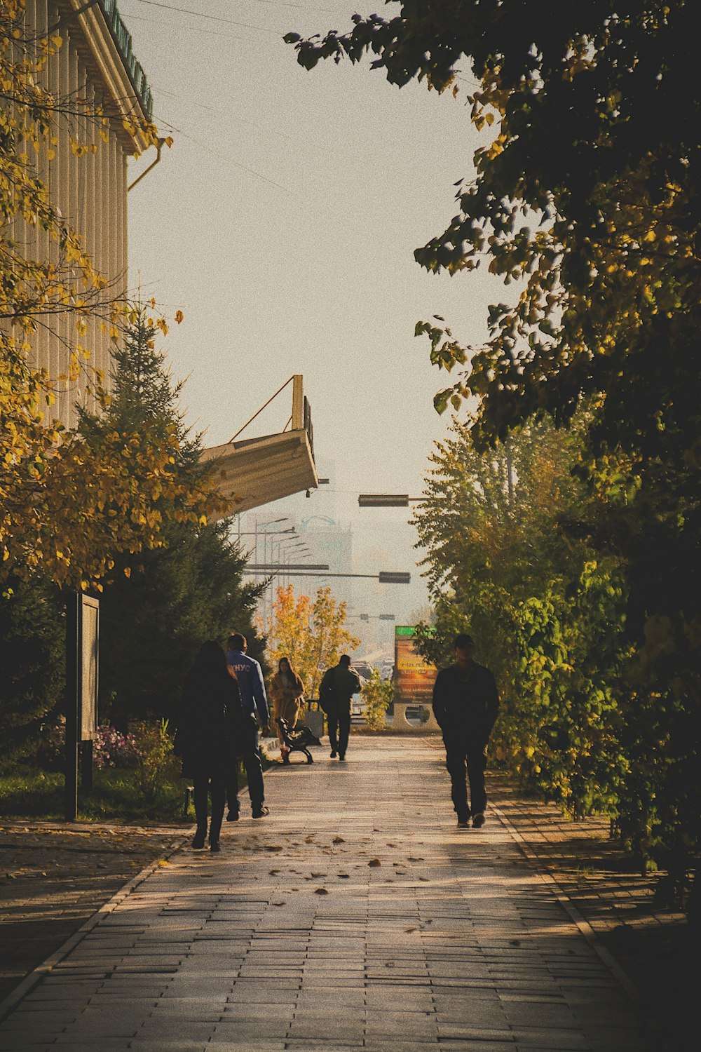 people walking on street