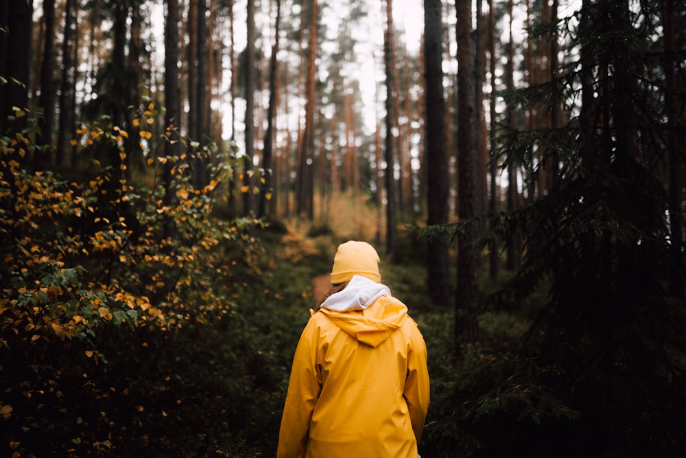 persona che cammina verso la foresta