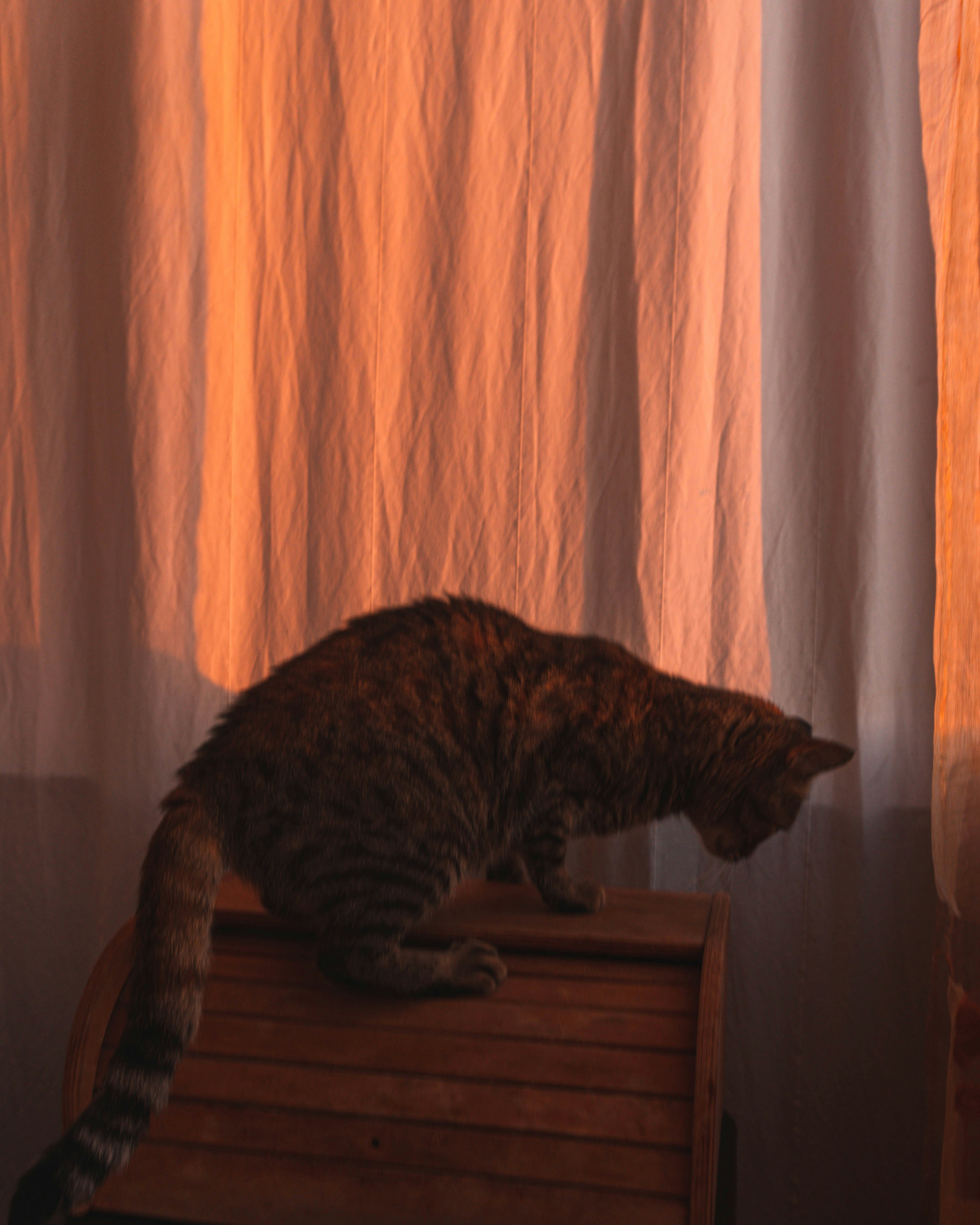 Photo by mrpeppeocchipinti