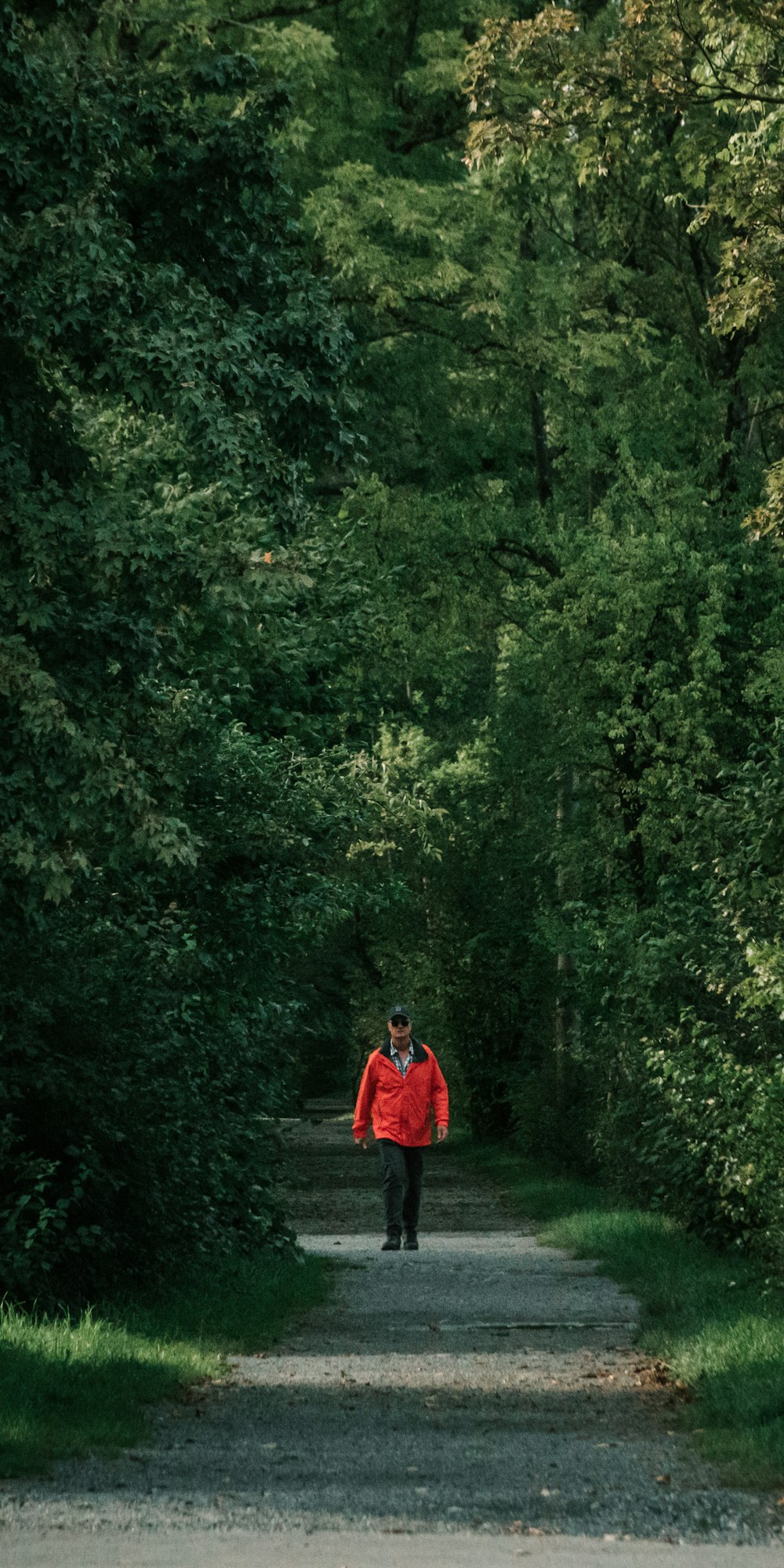 man walks between forest