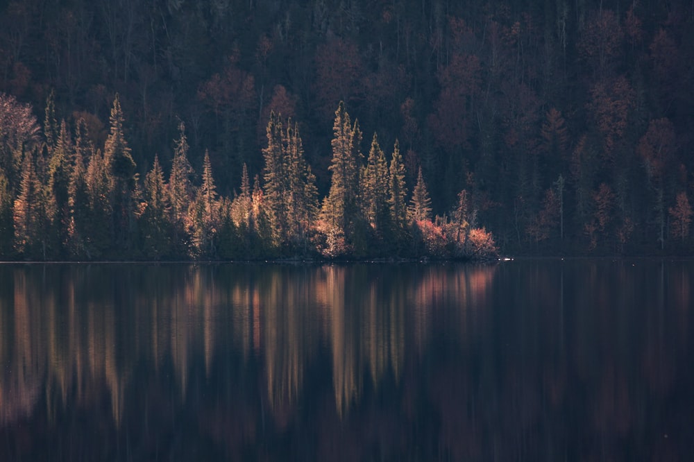 a large body of water surrounded by trees