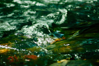 Close-up of clear water flowing over smooth stones with sunlight reflecting on the surface.